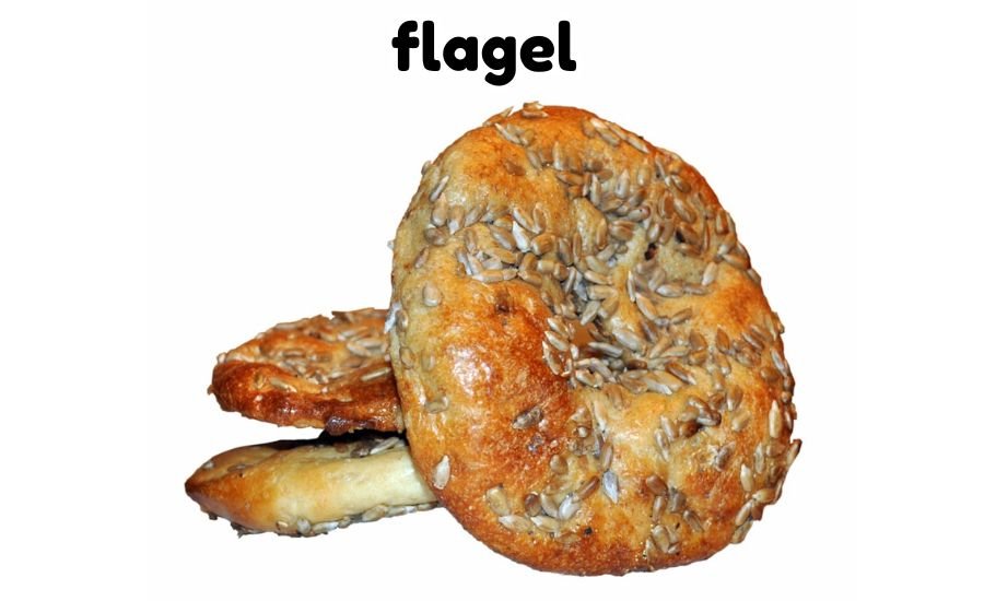 flagel